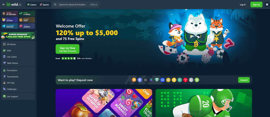 A screenshot of the wild.io homepage | Source: wild.io