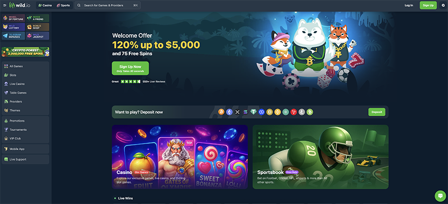 A screenshot of the wild.io homepage | Source: wild.io